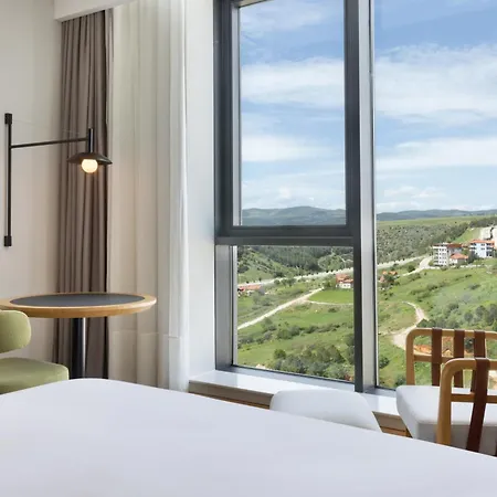 Sheraton & Thermal Hotel Uşak