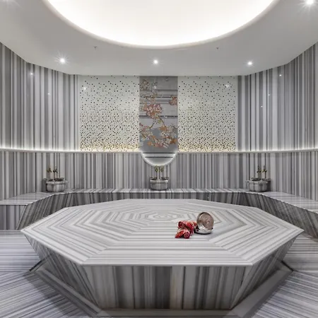 Hotel Sheraton & Thermal Uşak